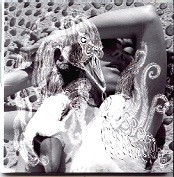 Bjork - Vespertine 2 x CD Set